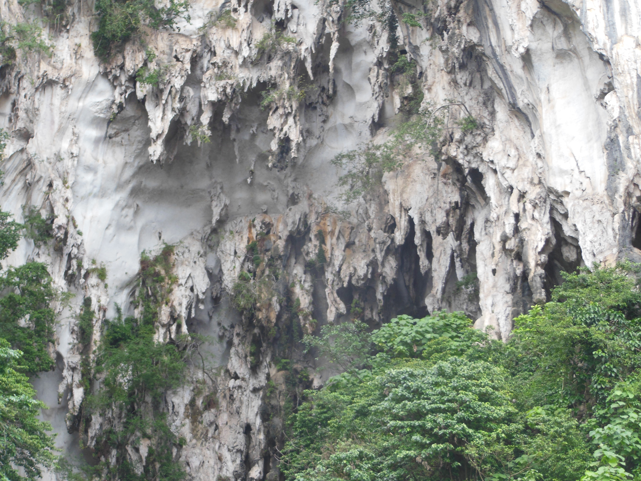 2013-11-03 Kuala Lumpur (Beim Tempel) 